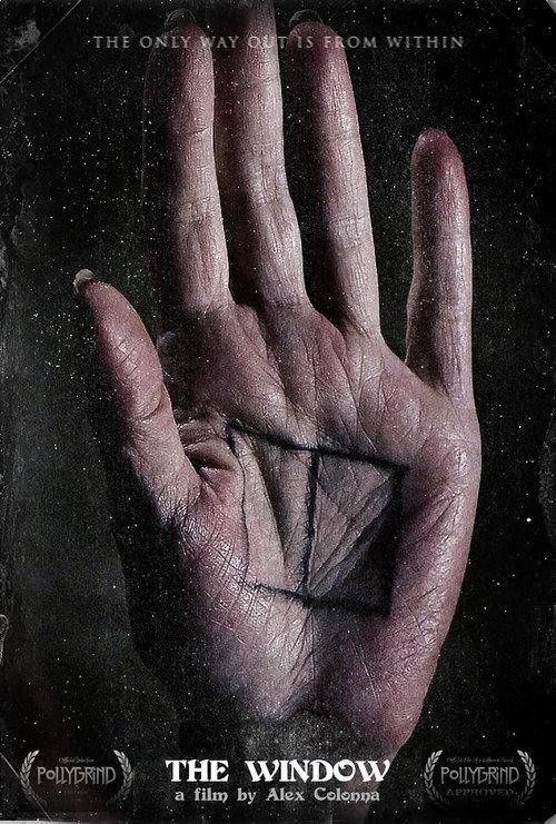 Movie poster for The Window (2013)
