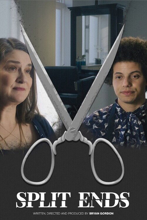 Movie poster for Split Ends (2024)