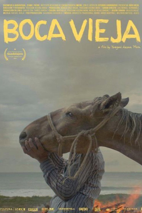 Movie poster for Boca Vieja (2025)