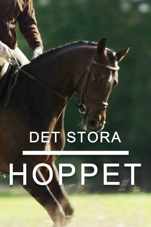 Series poster for Det stora hoppet (2017)
