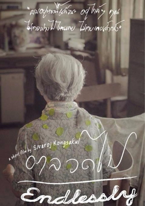 Movie poster for Endlessly (2013)