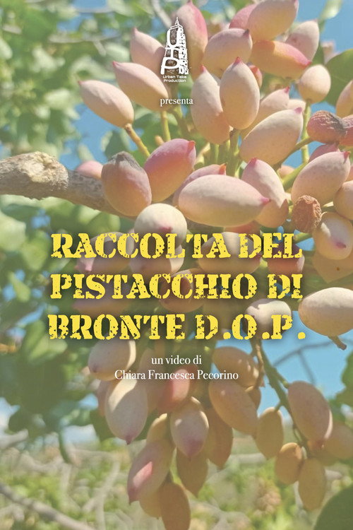 Movie poster for Raccolta del pistacchio di Bronte D.O.P. (2021)