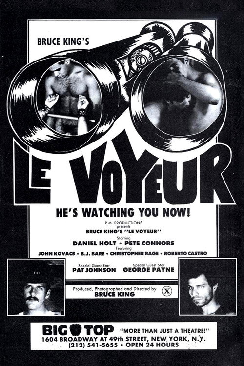 Movie poster for Le Voyeur (1982)