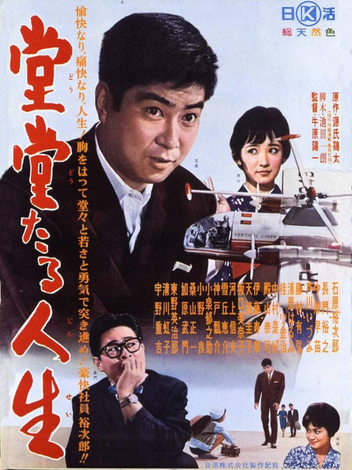 Movie poster for A Bold Life (1961)