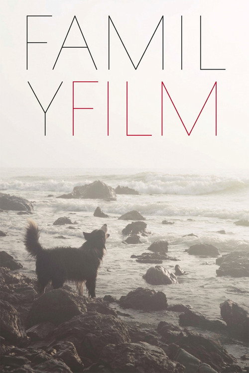 Movie poster for Family Film (2016)