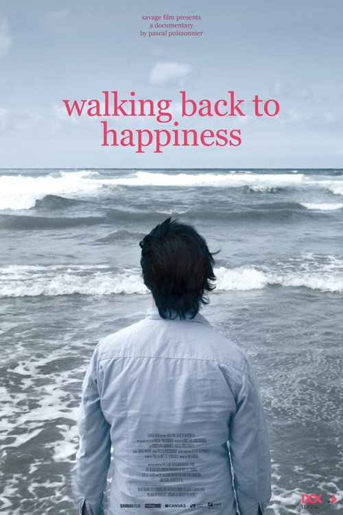 Movie poster for Walking Back to Happiness (2010)