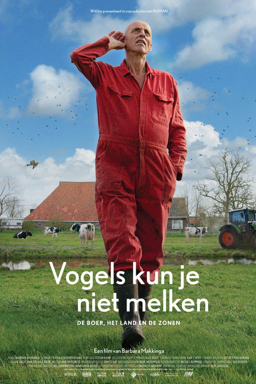 Movie poster for The Godwit was here (2024)