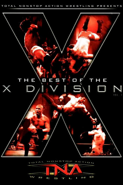 Movie poster for The Best of the X Division Vol. 1 (2005)