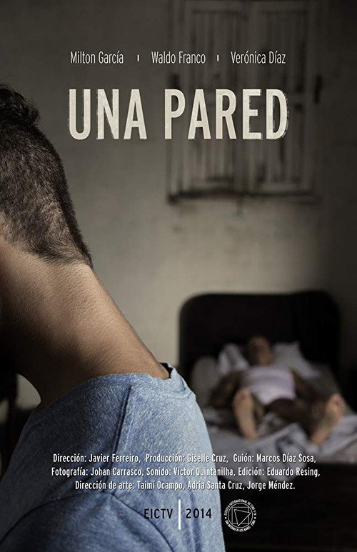 Movie poster for A Wall (2014)