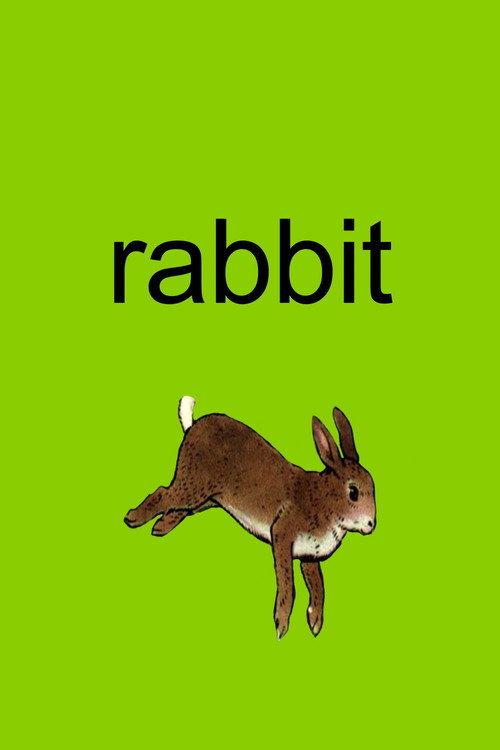 Movie poster for Rabbit (2005)