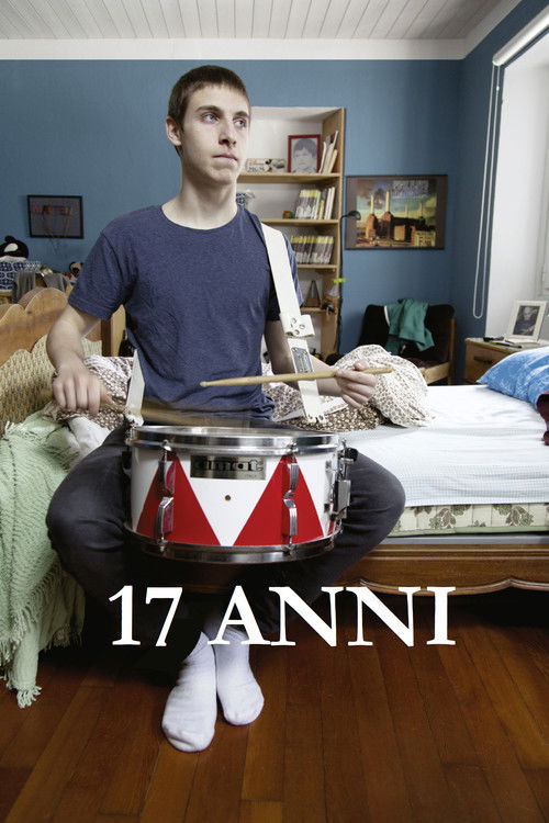 Movie poster for Age 17 (2013)