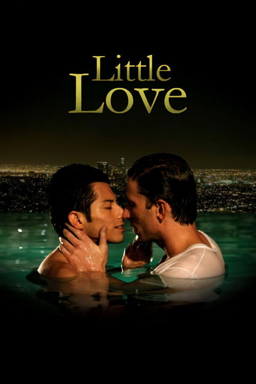 Movie poster for Little Love (2010)