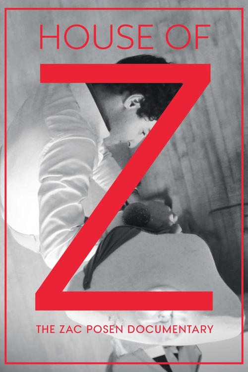 Movie poster for House of Z (2016)