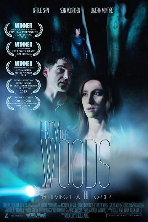 Movie poster for From The Woods (2013)