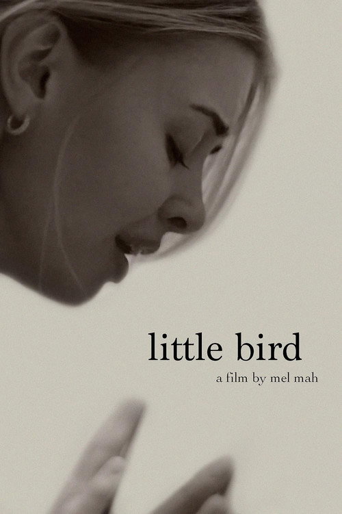 Movie poster for Little Bird