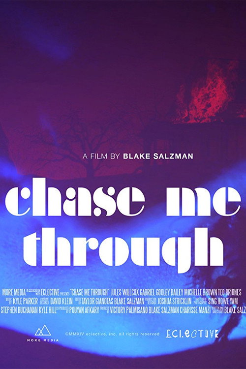 Movie poster for Chase Me Through (2014)