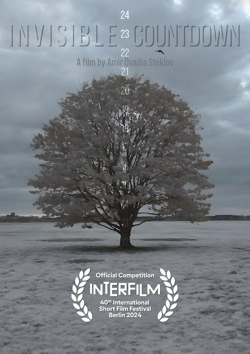 Movie poster for Invisible Countdown (2024)