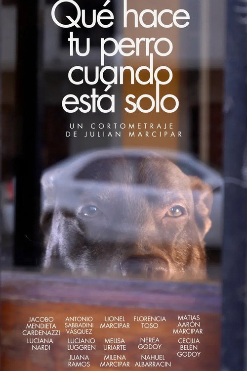 Movie poster for Qué hace tu perro cuando está solo (2025)