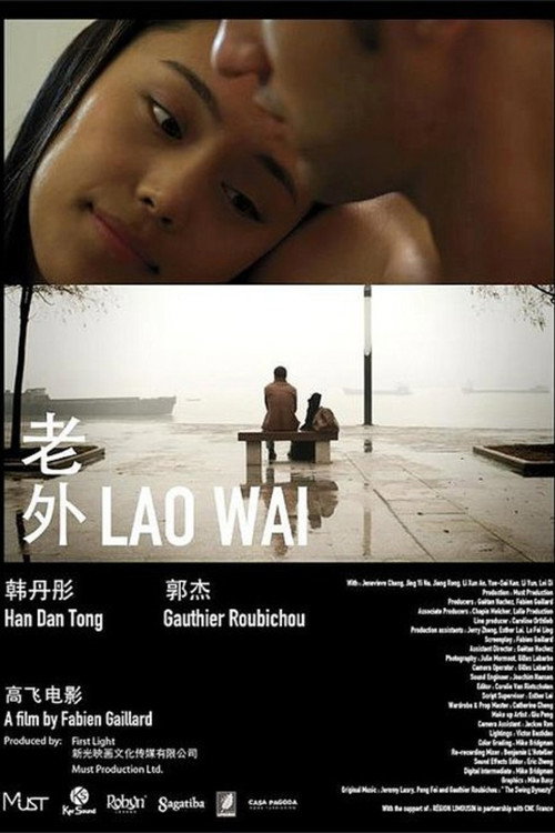 Movie poster for Foreigner (2010)