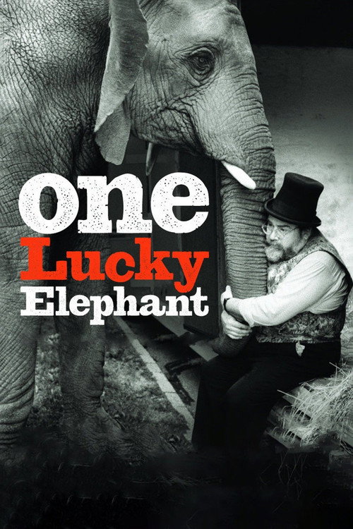 Movie poster for One Lucky Elephant (2010)