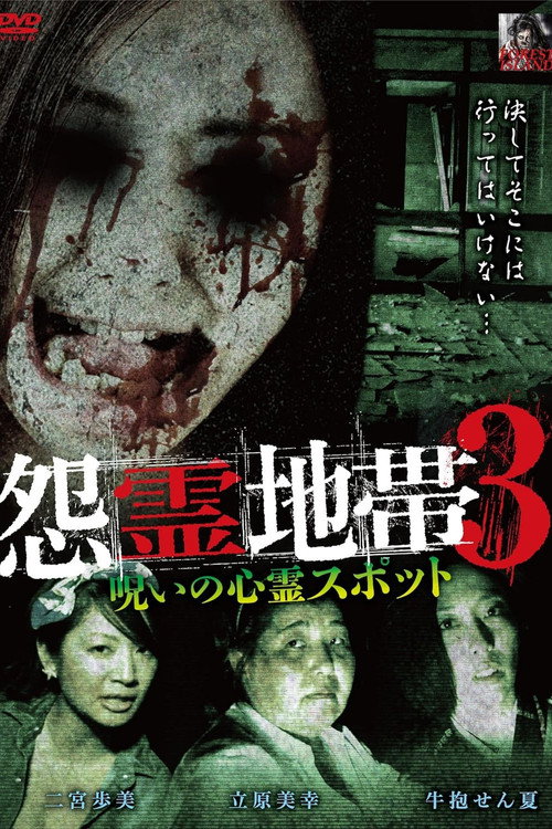 Movie poster for Grudge Zone 3: Cursed Haunted Spots (2015)