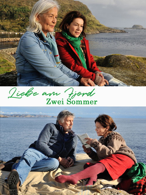 Movie poster for Liebe am Fjord - Zwei Sommer (2013)