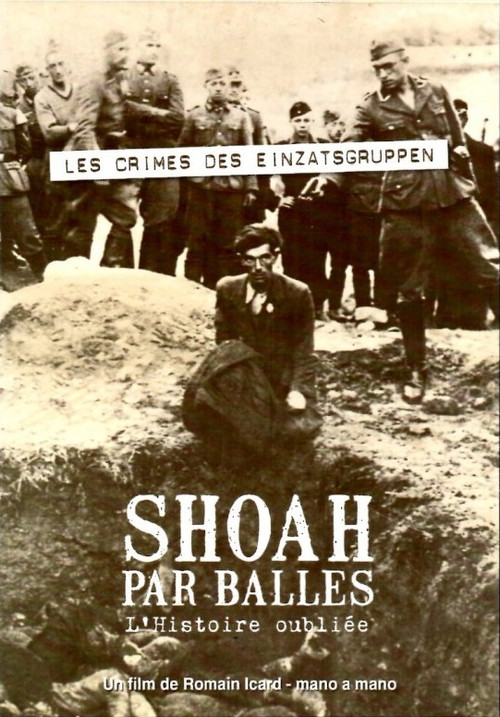 Movie poster for Shoah by Bullet: The Forgotten History (2008)