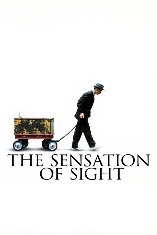 Movie poster for The Sensation of Sight (2006)