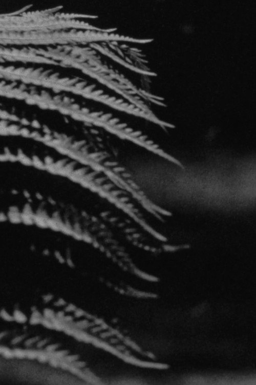 Movie poster for emergence (2024)