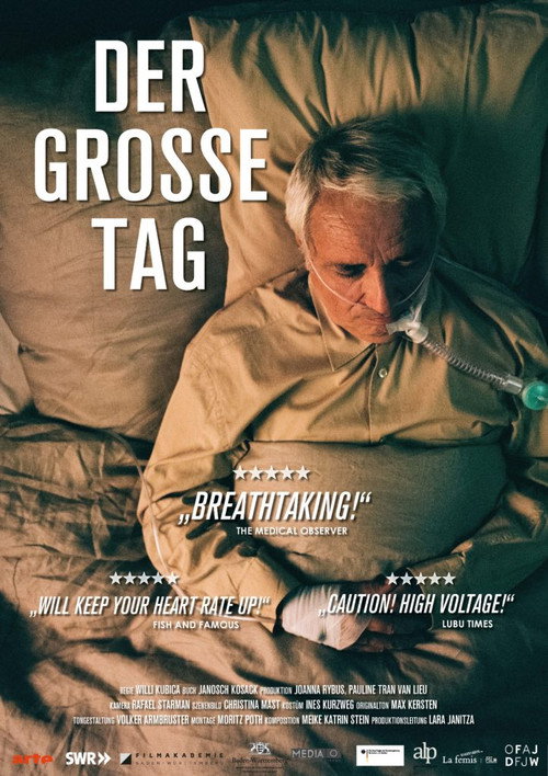 Movie poster for Der große Tag (2018)