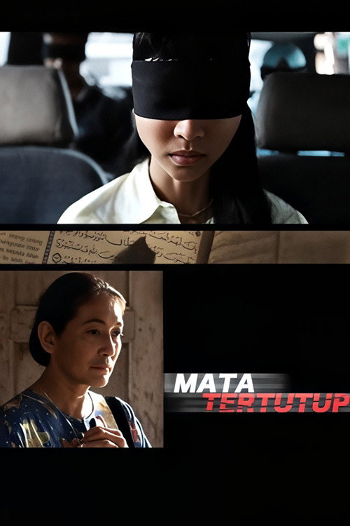 Movie poster for The Blindfold (2012)