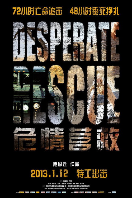 Movie poster for Desperate Rescue (2013)