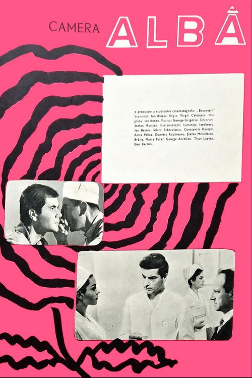Movie poster for Camera alba (1965)