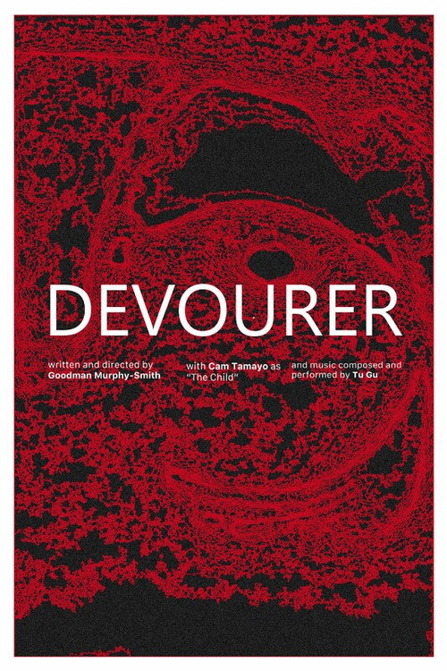 Movie poster for Devourer