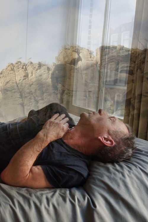 Movie poster for this body is so impermanent… (2021)