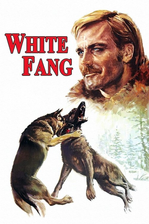 Movie poster for White Fang (1973)