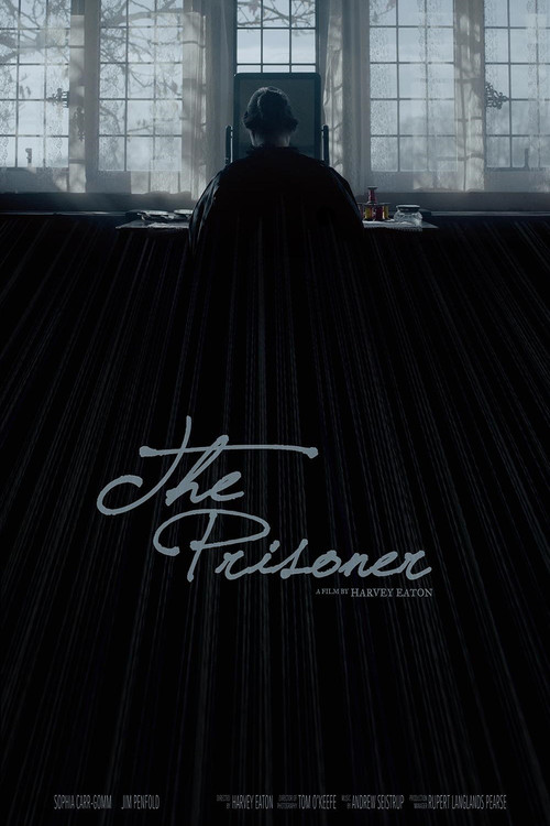 Movie poster for The Prisoner (2016)