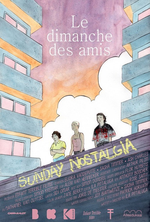 Movie poster for Sunday Nostalgia - Le dimanche des amis (2022)