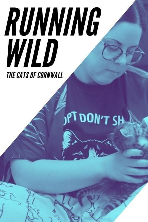 Movie poster for Running Wild: The Cats of Cornwall (2020)