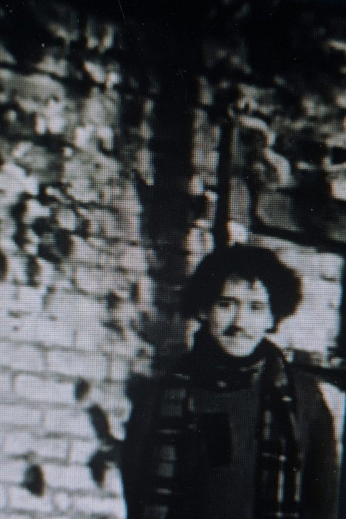 Photo of João Ferreira, Directing
