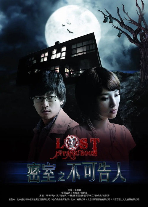 Movie poster for Lost in Panic Room (2010)