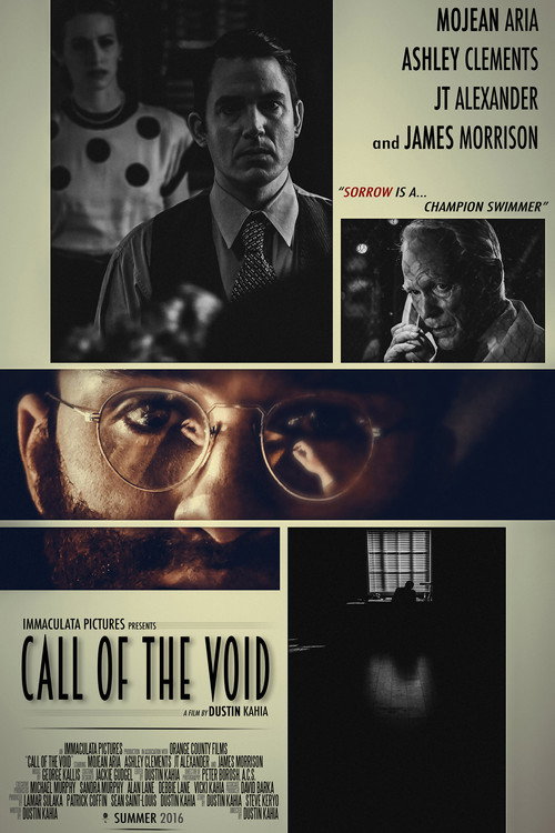 Movie poster for Call of the Void