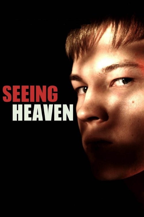 Movie poster for Seeing Heaven (2011)