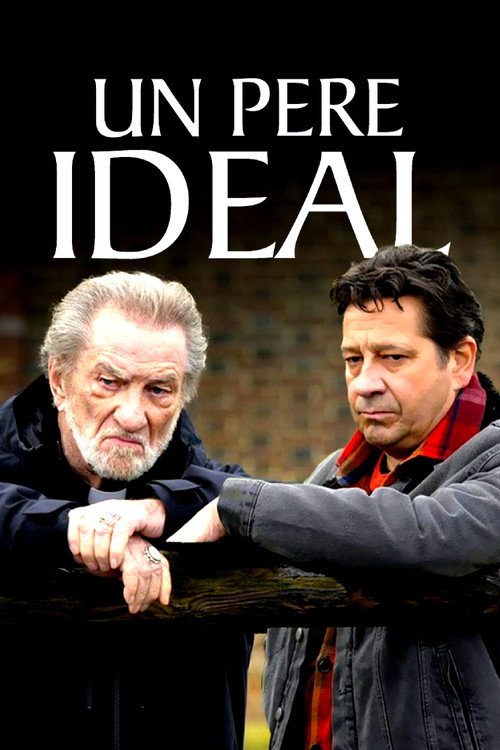 Movie poster for An Ideal Father (2024)