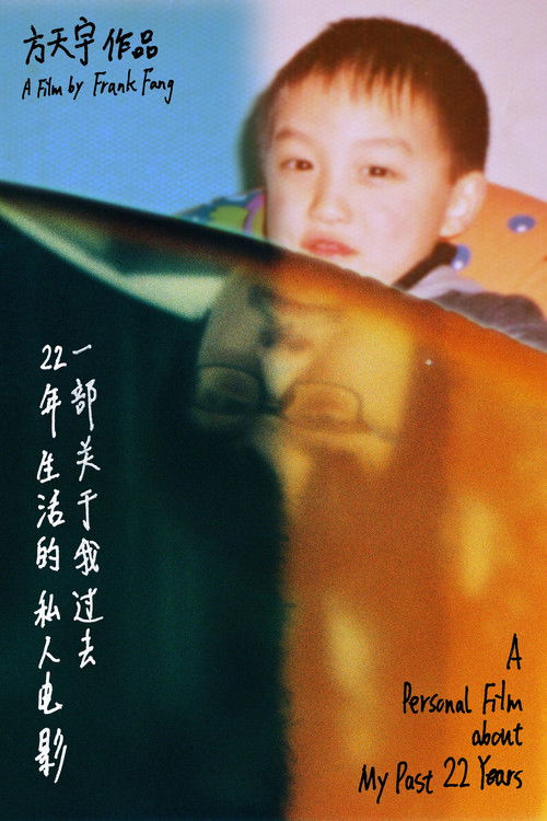 Movie poster for A Personal Film about My Past 22 Years (2018)