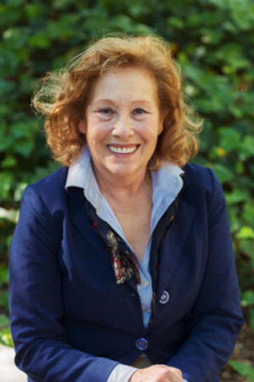 São José Lapa profile