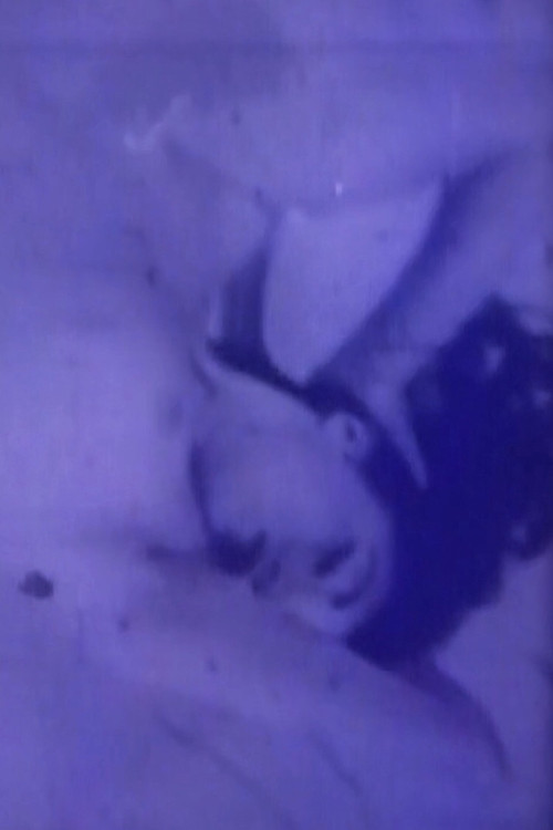 Movie poster for Blue Movie (1993)