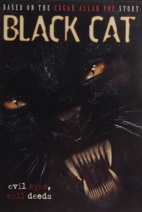 Movie poster for Black Cat (2004)