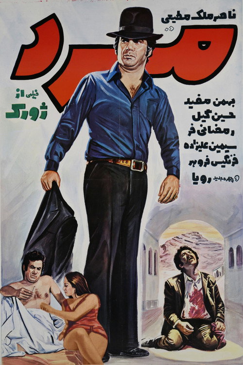 Movie poster for The Man (1972)