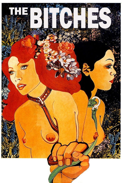 Movie poster for The Bitches (1973)